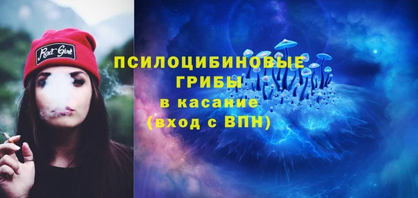 экстази Краснослободск
