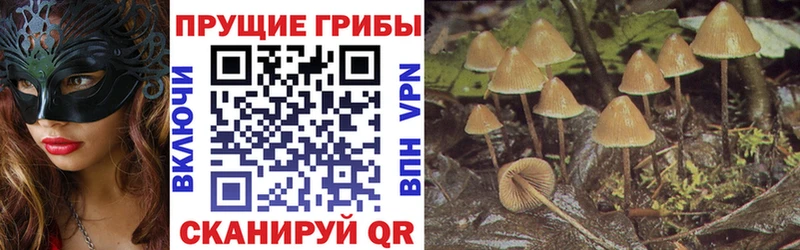 Псилоцибиновые грибы мицелий  цены наркотик  Сретенск 